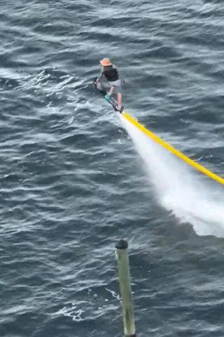 Dog goes viral for jet skiing while owner hoverboards: 'You can't go ...