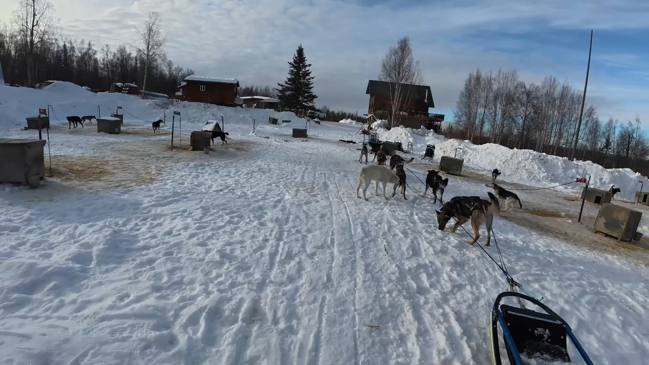 After dog sledding, I took the quietest snowmobile ride of my Alaska trip