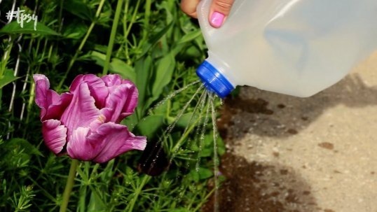 Smart budgeting for gardening: Use only the tools you need