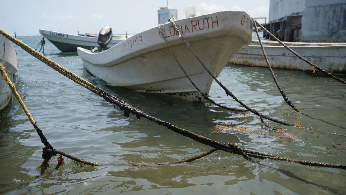 Autoridades ambientales dan seguimiento a derrame en el Golfo de México