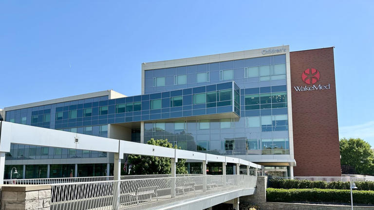 WakeMed's CEO says it won't thrive in future without combination with ...