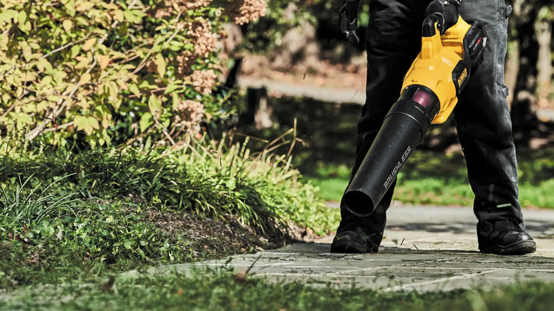 The difference between leaf blower CFM and MPH (and which is more ...