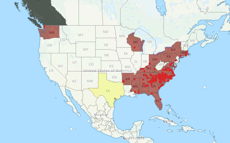 Warning as venomous insect imported from China invades multiple US states