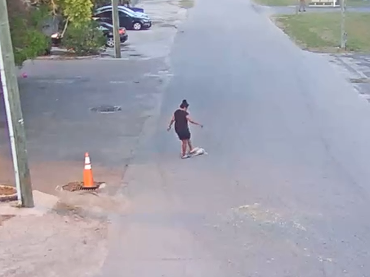 Florida woman charged after brutally throwing and kicking dog on video