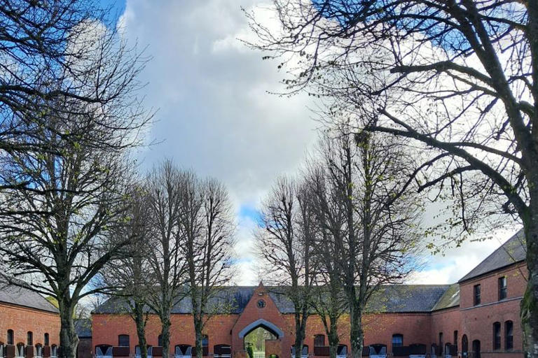 Ireland's 'horse country' offers more than horsing around on tourism trail