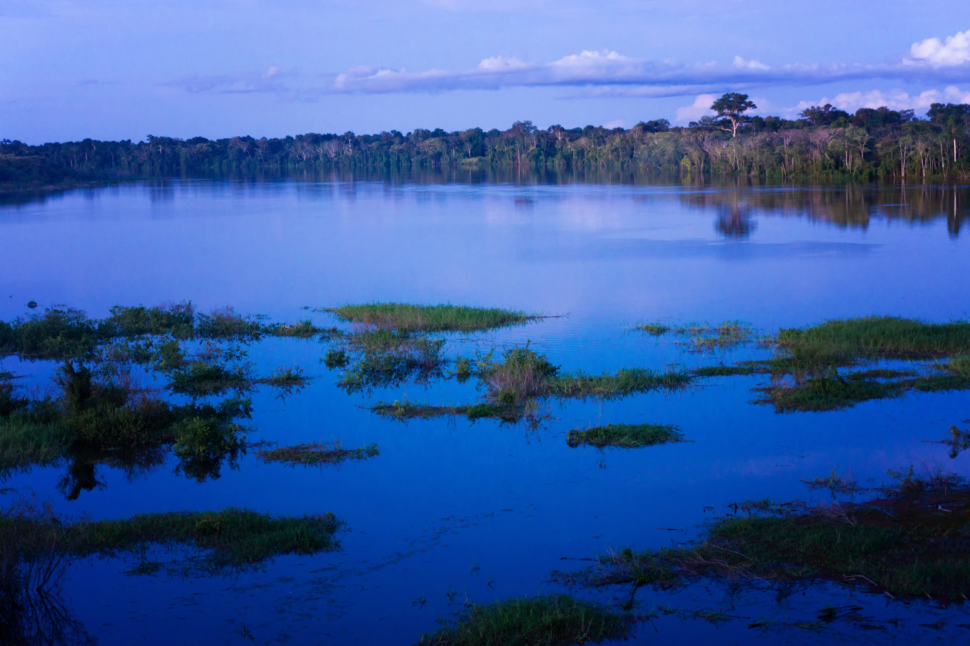 17-facts-about-the-amazon-rainforest-that-sound-almost-impossible