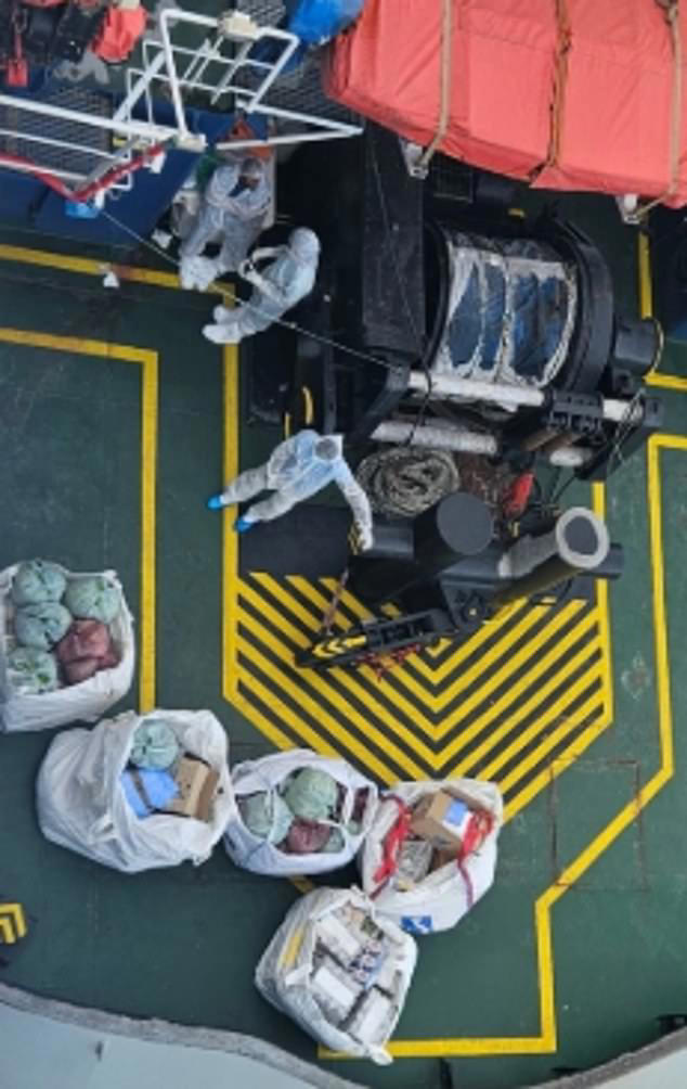 Cruise ship passenger may have boarded already infected with deadly rat ...