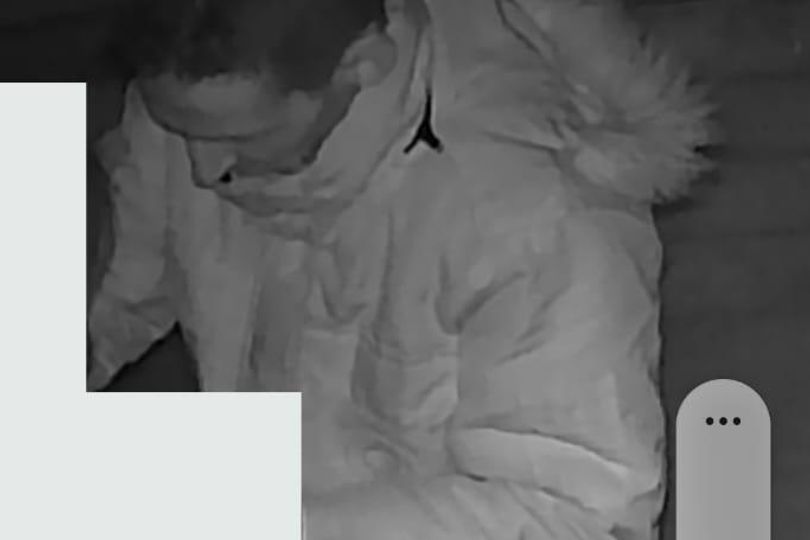 Manhunt launched after man 'repeatedly sexually assaulted' horse in ...