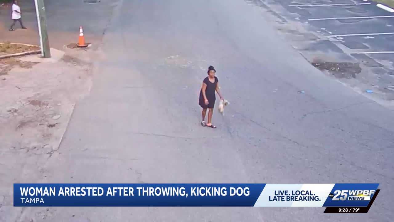 Florida woman arrested after video shows her throwing and kicking a dog