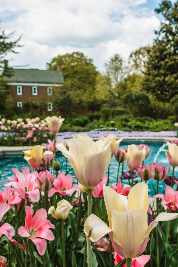What to do in Wilmington, Delaware during a spring weekend