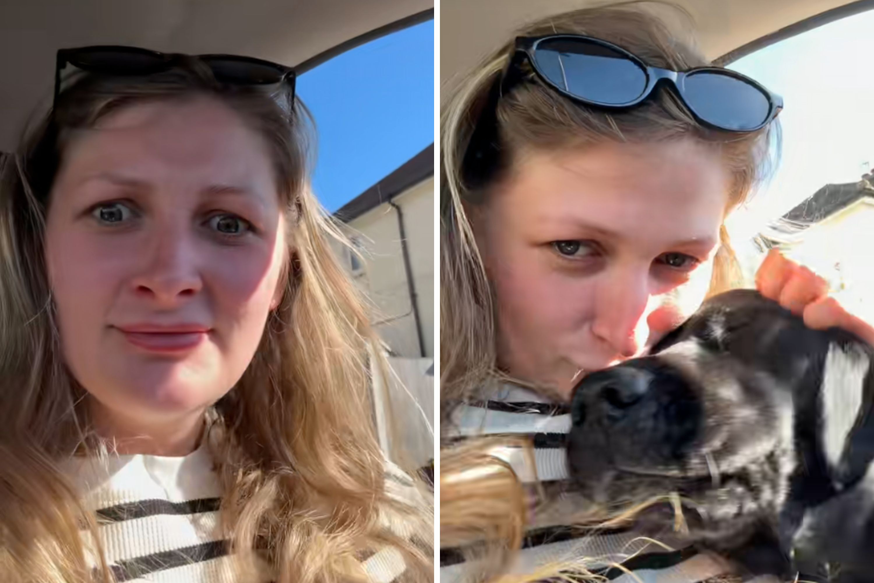 Mom returns home to find front door wide open—not prepared for where dog is