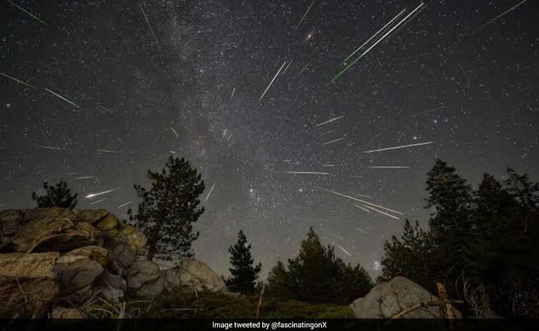 Eta Aquarids 2026: When can Indians watch Halley's Comet meteor shower