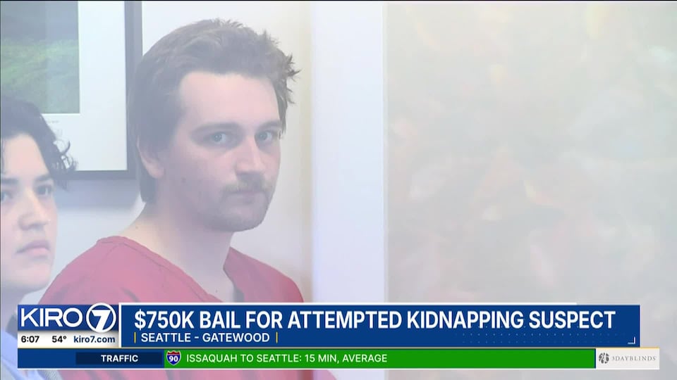 Video: $750K bail for attempted kidnapping suspect