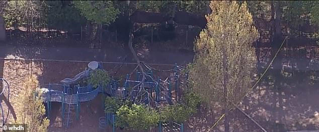 Child is killed in freak accident while playing with friends after school