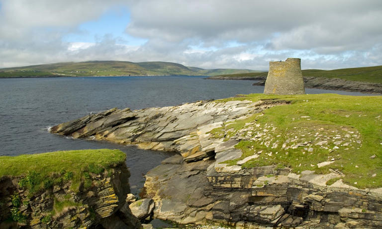Mousa trap required as rogue rat threatens island's bird population