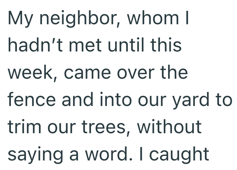 Parent of young kids finds neighbor trimming their trees, turning their ...