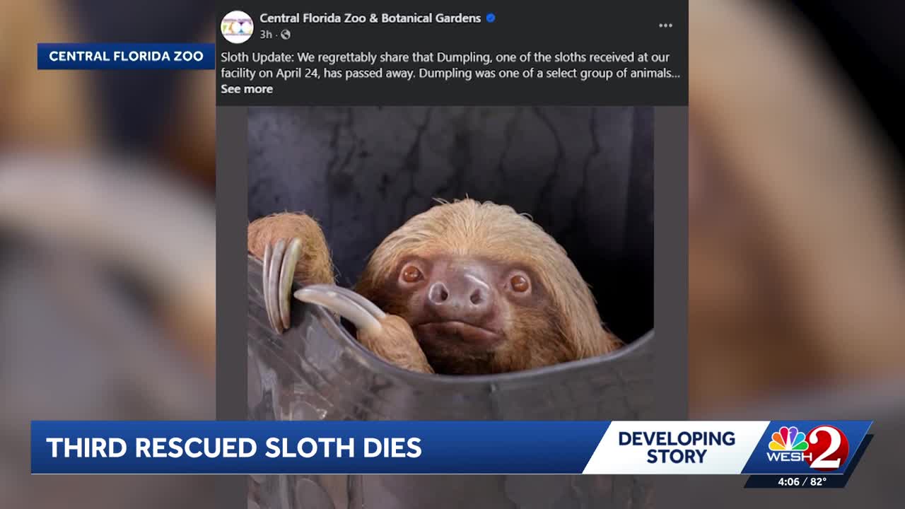 Sanford zoo reports 3rd death of 'Sloth World' rescues