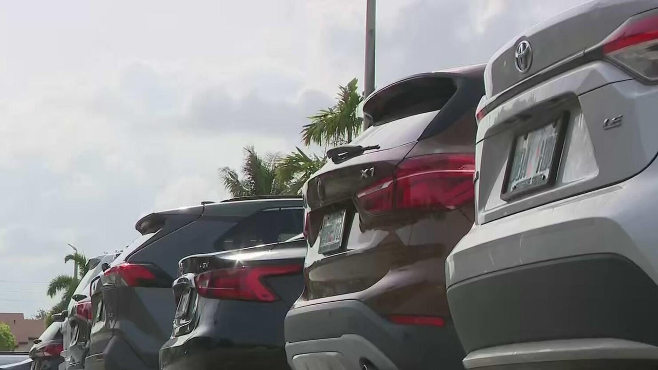 Caught on camera: Bold car burglars hit 9 vehicles in Pembroke Park