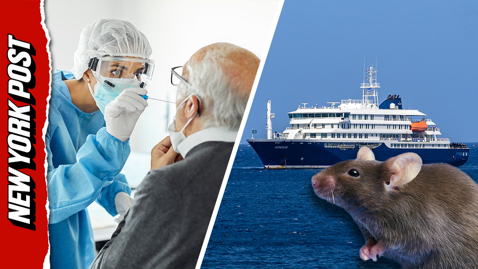Doctor reveals if the hantavirus outbreak could lead to next global ...