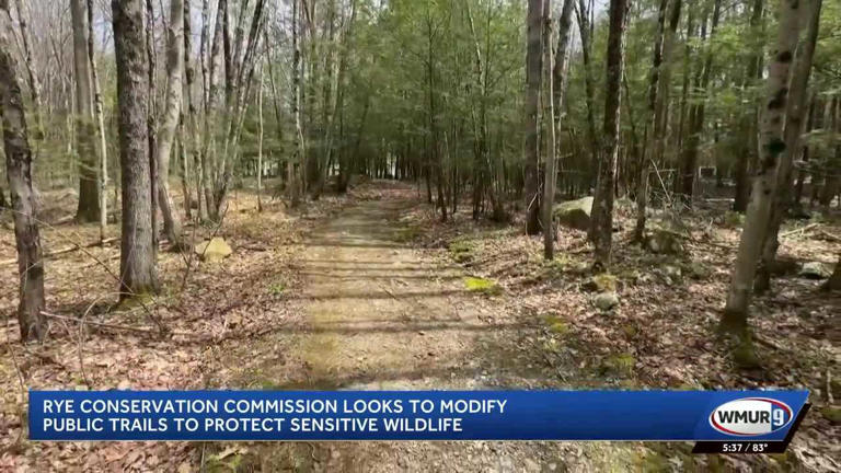 Rye Conservation Commission looks to modify public trails to protect ...
