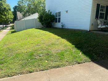 A suburban front yard with a sloped grassy lawn, bordered by a white fence and a white house with a porch. Trees line the background