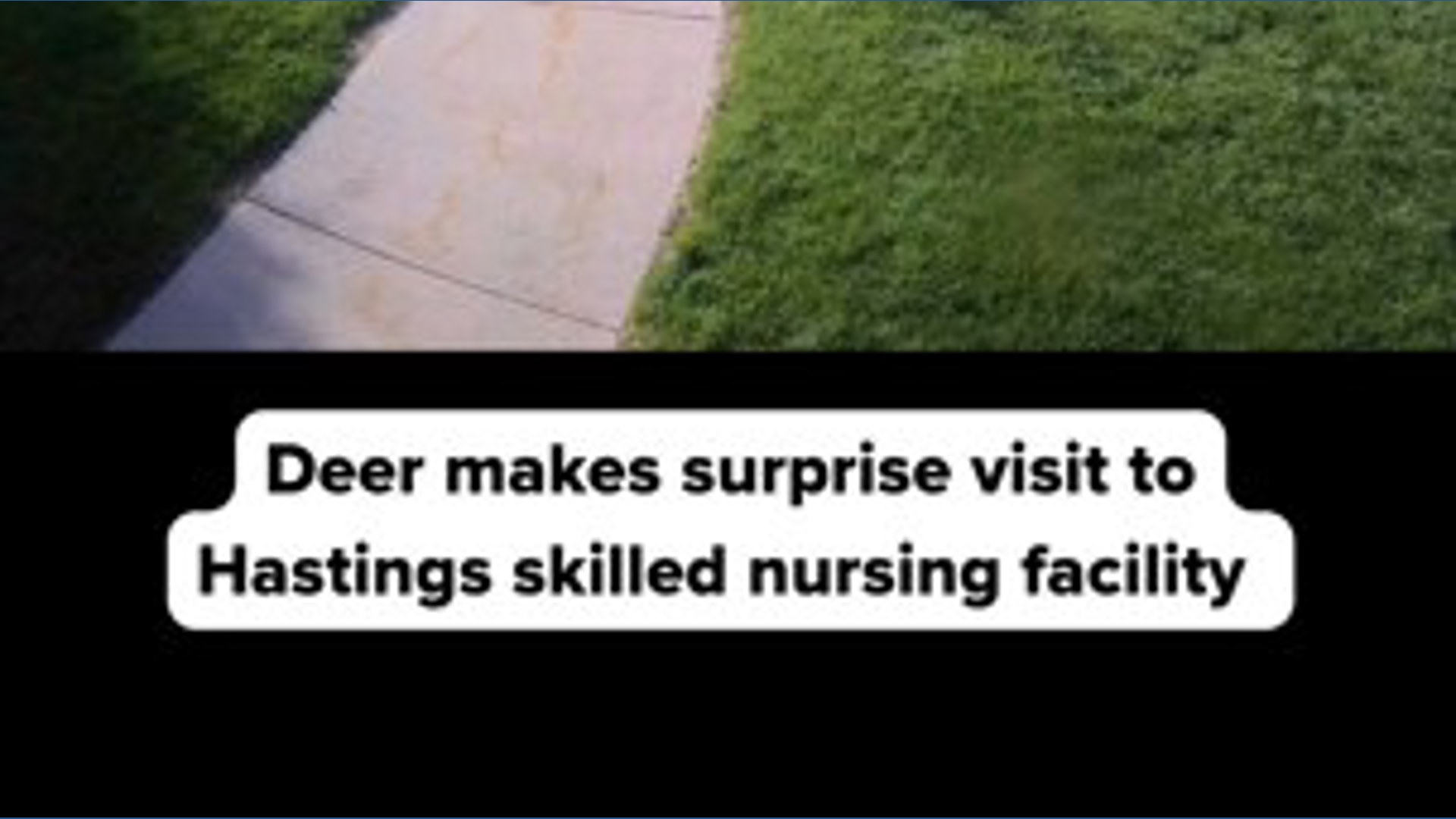 OH DEER! Hastings skilled nursing facility gets a surprise visitor