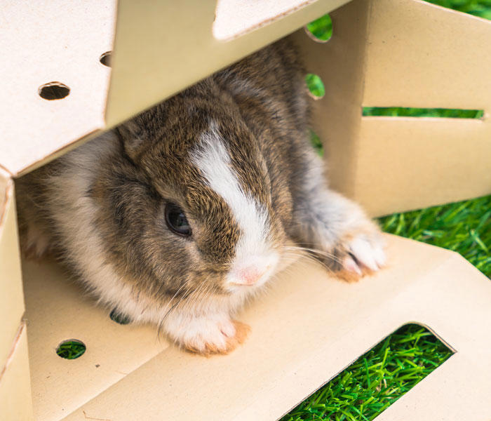 41 strange packages that left delivery workers very confused