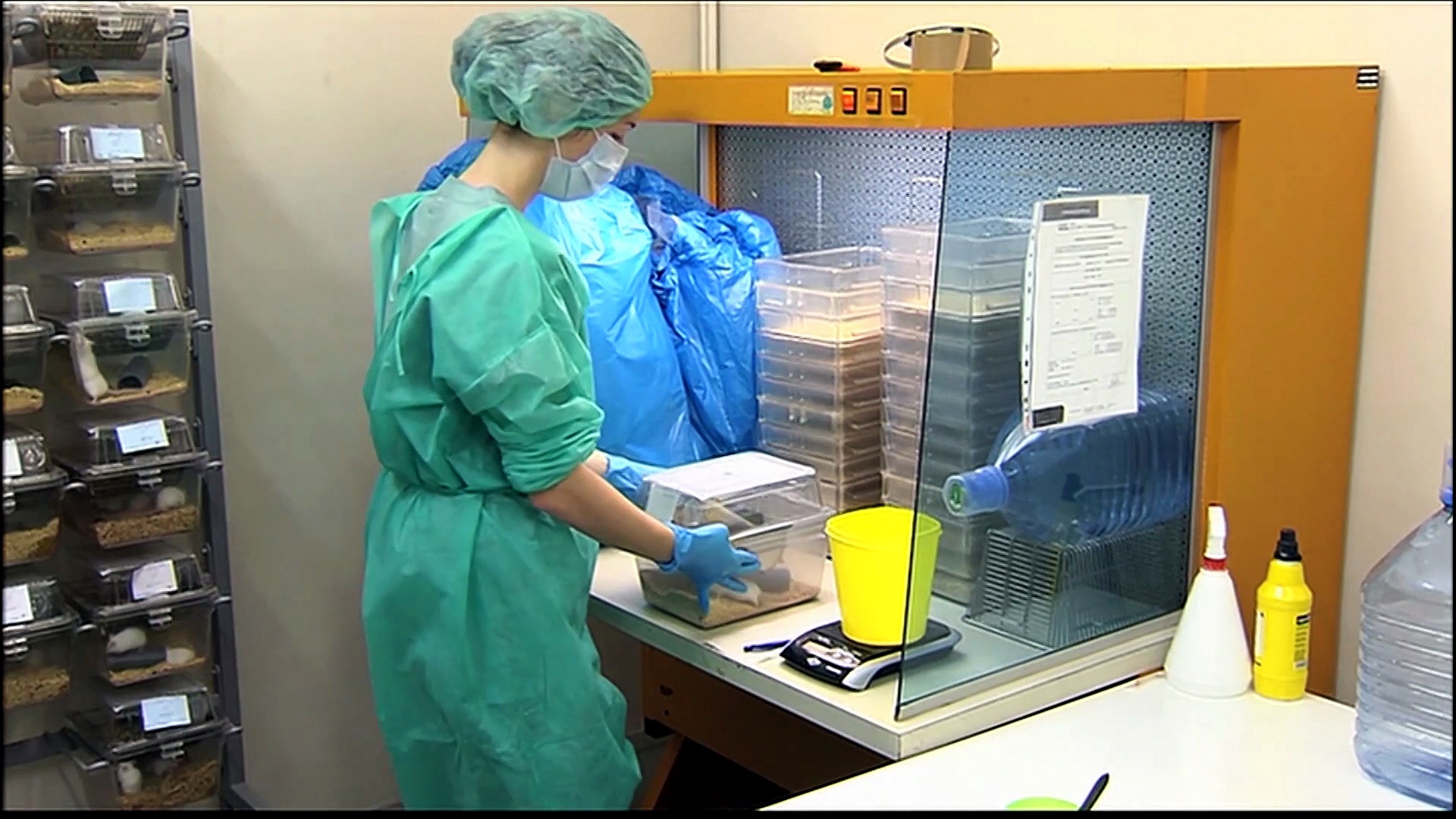 Sanidad descarta la llegada a Canarias del crucero con hantavirus sin ...