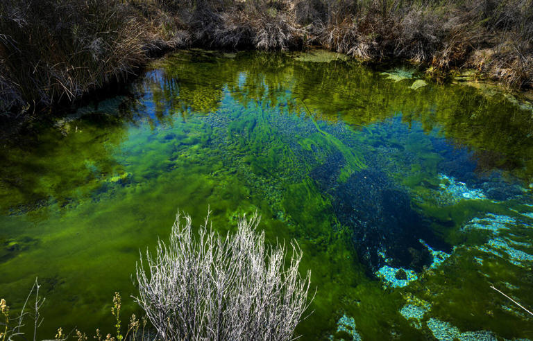 ‘They’re relying on us’: Republican-led commission votes to support Ash ...