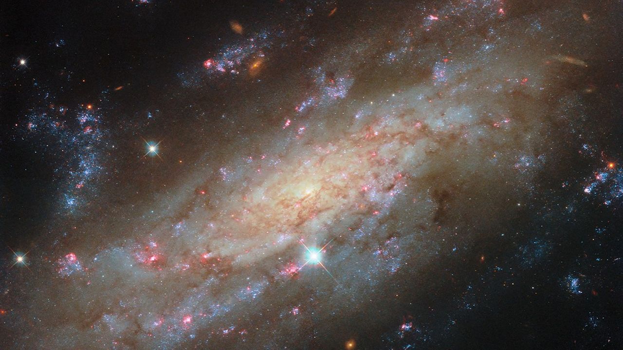 Clusters of bright stars and glowing gas clouds steal the show in new ...