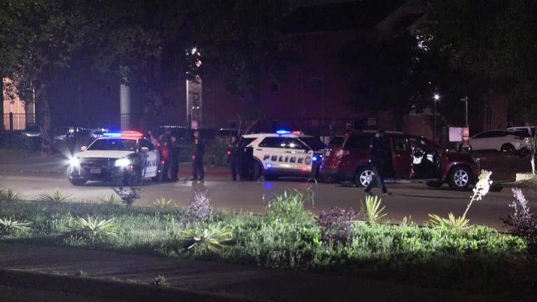 Two charged with capital murder in Dallas after pregnant woman’s baby ...