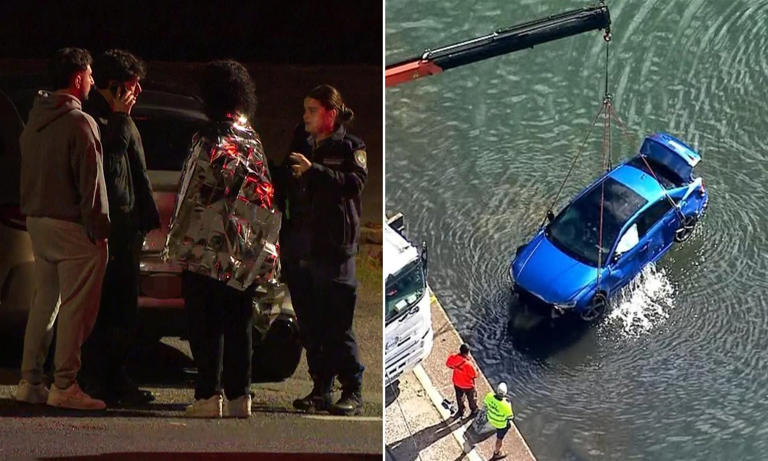 Huge development after car plunged into a weir with two young men inside
