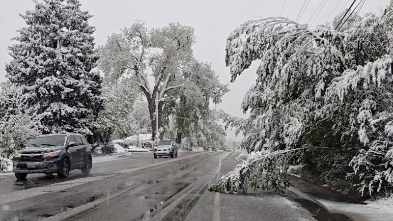 May snowstorm buries parts of Colorado and Wyoming