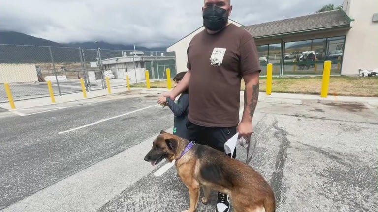 Owner outraged after deputy shoots and kills his dog in California backyard