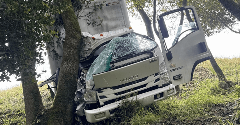 Passenger pinned against tree after Marin County truck crash