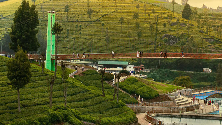Summer Vacation 2026: 5 Kids-Friendly Places In India Perfect For ...