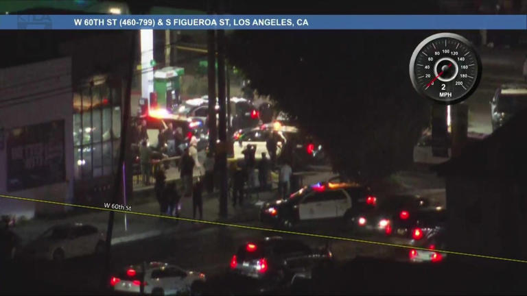 Woman in custody after dangerous LA police chase