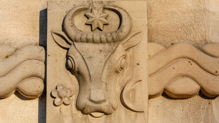 What were aurochs? The prehistoric creatures that once roamed