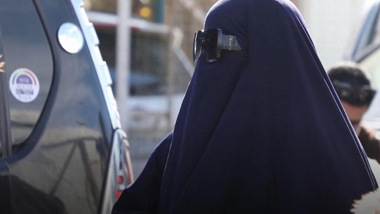 Two ISIS-linked Australians to land in NSW: Catley