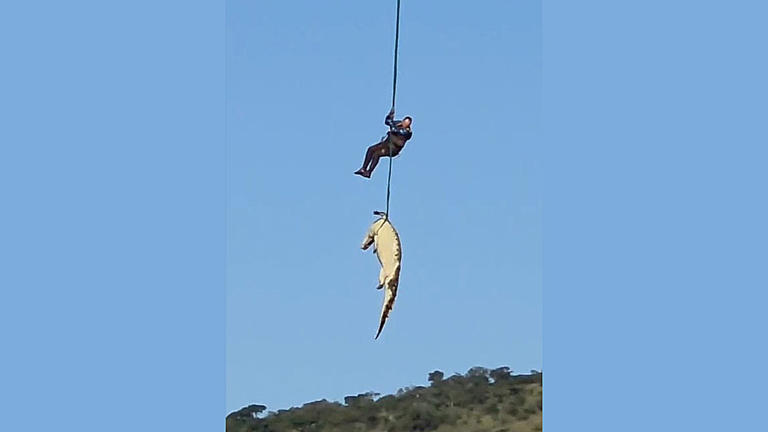 South African police airlift massive crocodile suspected of eating ...