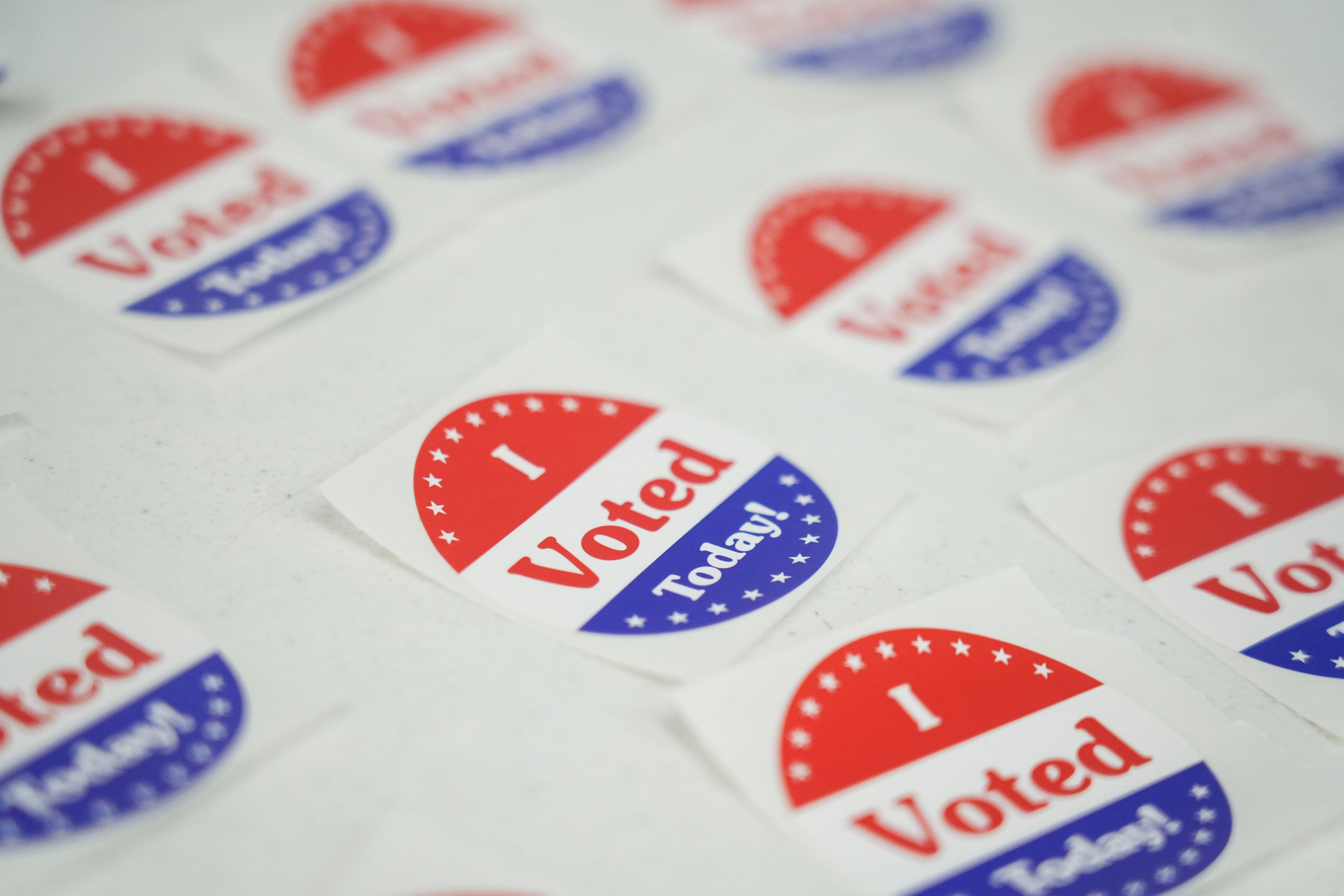 Who won the Madison Co. primary election races for school board?