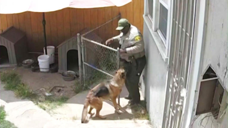 Owner outraged after deputy shoots and kills his dog in California backyard