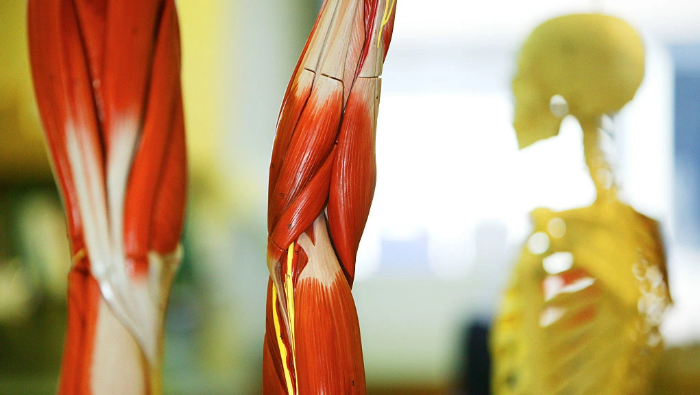 Strength training tips for real-life gains