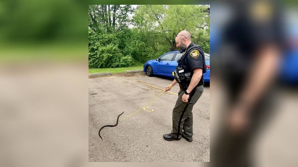 Local deputy rescues snake from garage