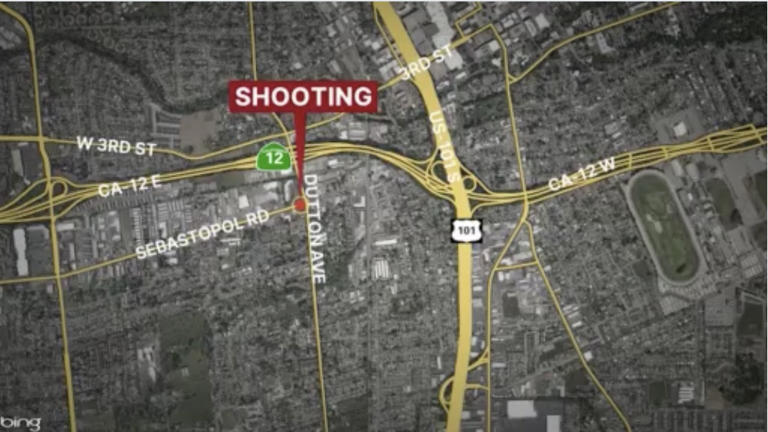 One person shot near Cinco de Mayo festival in Santa Rosa