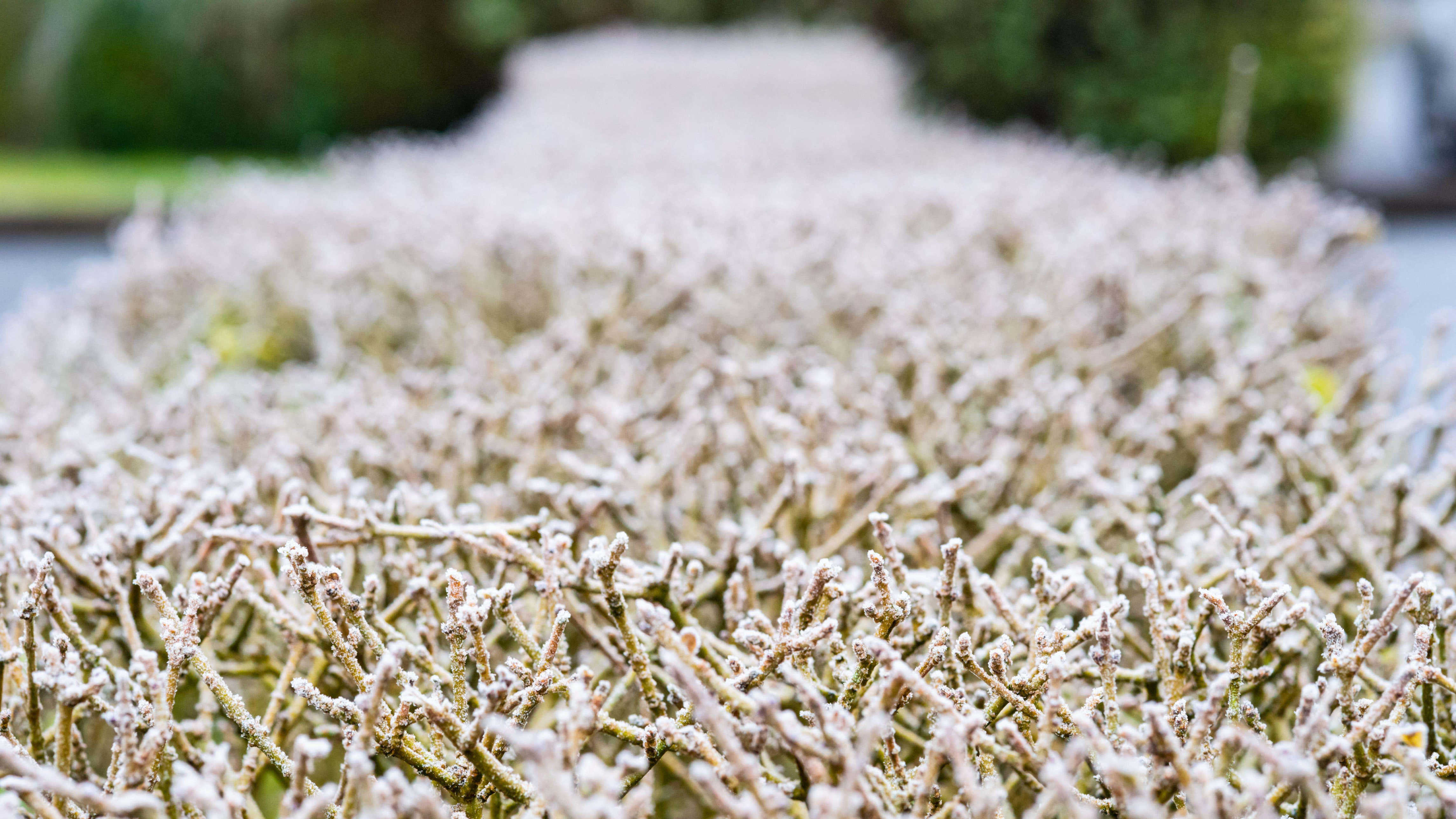 Coldest May night in five years recorded with more unsettled weather on way