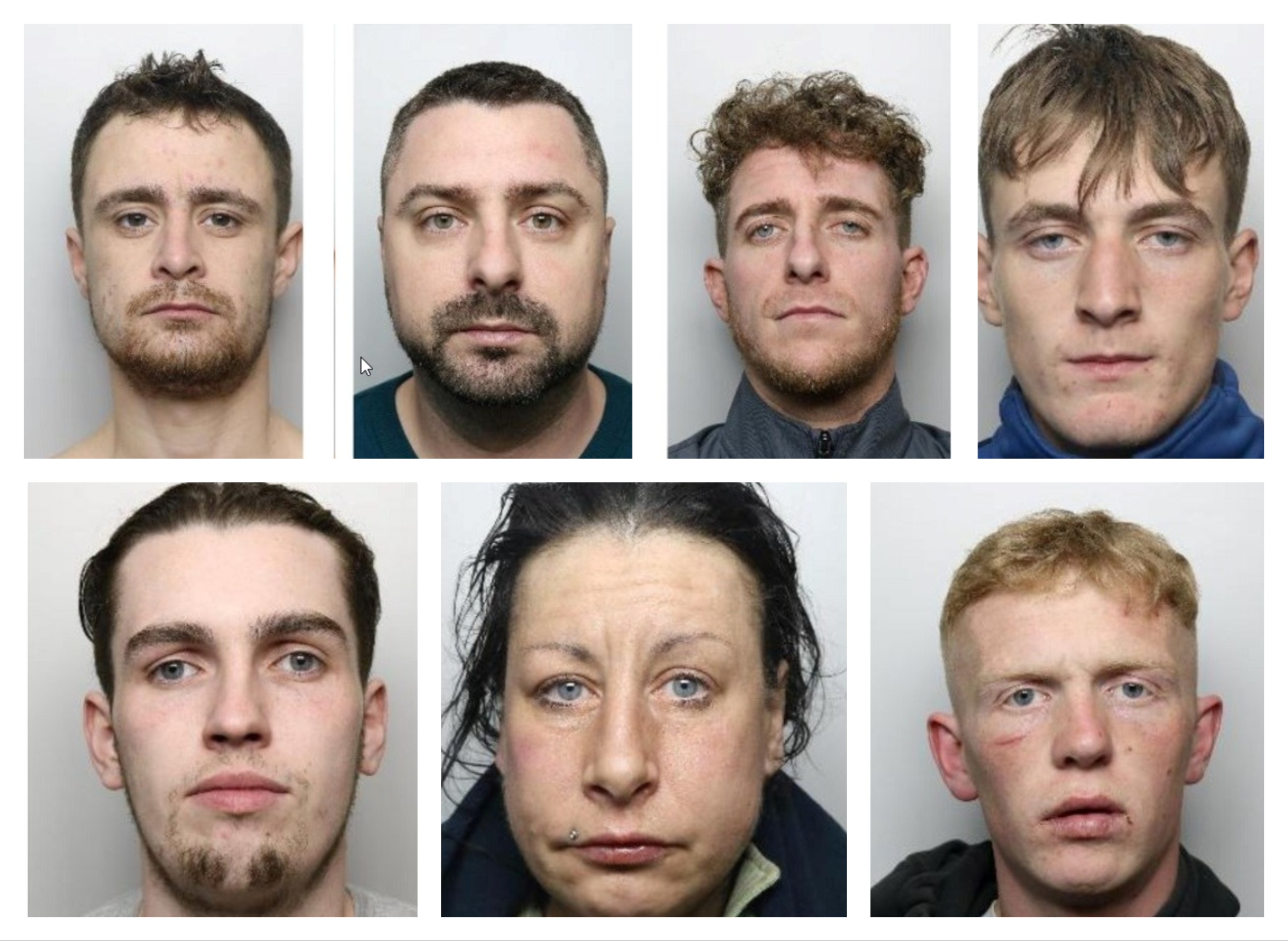 The string of prolific Doncaster burglars jailed by city's police