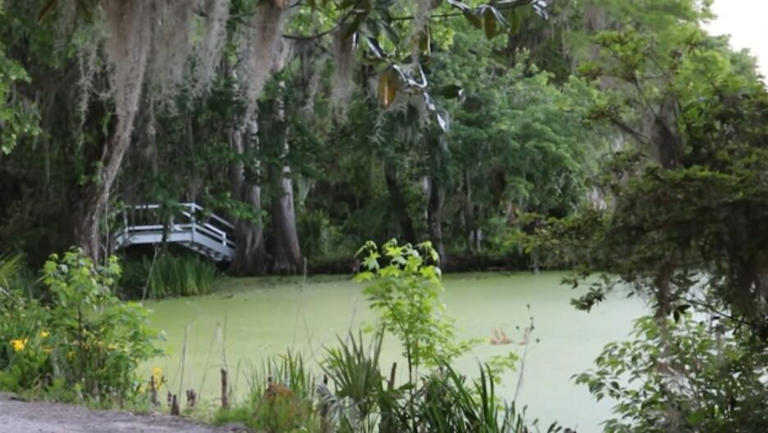 Push grows to transfer 7,000+ acres into permanent Gullah Geechee ...