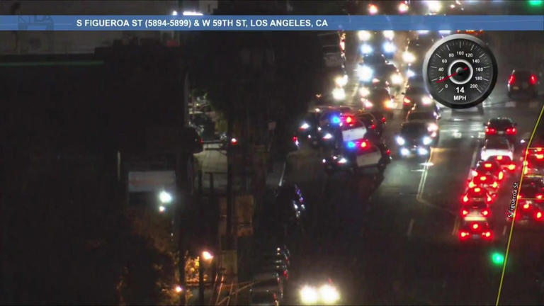 Woman in custody after dangerous LA police chase