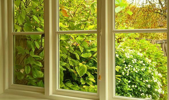 Households urged to spray cornflour on their windows in May